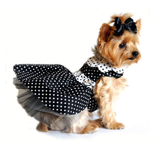 image of dog wearing dress