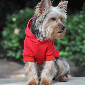 image of dog wearing hoodie