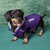 Sightseer Dog Hoodie Sweatshirt, Purple