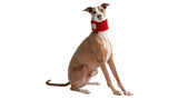 Knit Tube Scarf for Dogs & Their Humans