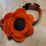 Poppy Flower for Dog Collar - Orange or Purple