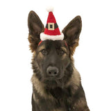 Santa Hat Headband for Large Dogs