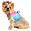 image of dog wearing harness