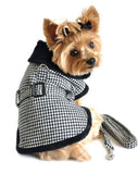 image of dog wearing harness coat with leash