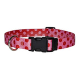 Valentine Polka Dots Dog Collar