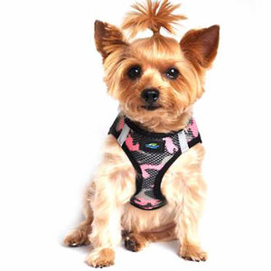 image of dog wearing harness