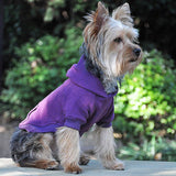 image of dog wearing hoodie
