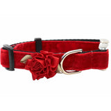 Red Velvet Dog Collar with Gold Metal Buckles & Flower Accent