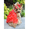 Red Satin Ruffled Dress with D Ring and Leash