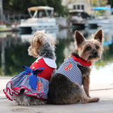 image of dogs wearing dress and harness