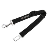 image of doggie seatbelt strap