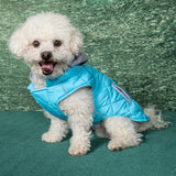 Sightseer Dog Hoodie Sweatshirt, Light Blue