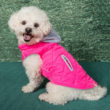 Sightseer Dog Hoodie Sweatshirt, Pink