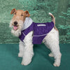 Sightseer Dog Hoodie Sweatshirt, Purple