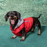Sightseer Dog Hoodie Sweatshirt, Red