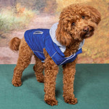 Sightseer Dog Hoodie Sweatshirt, Royal Blue