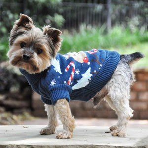 image of dog wearing ugly reindeer sweater